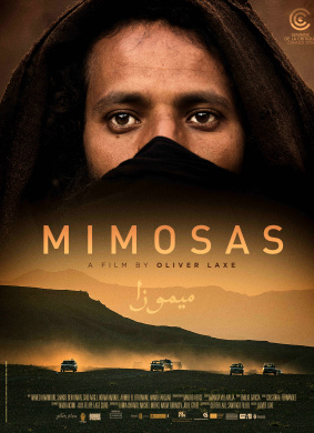 含羞草Mimosas