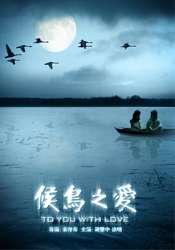 候鸟之爱To You with Love