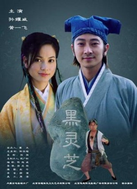 黑灵芝Hei Ling Zhi