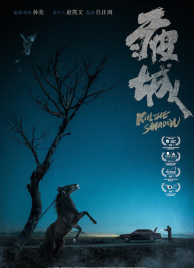 疲城Kill the Shadow