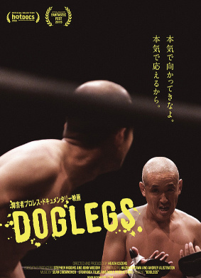转折Doglegs