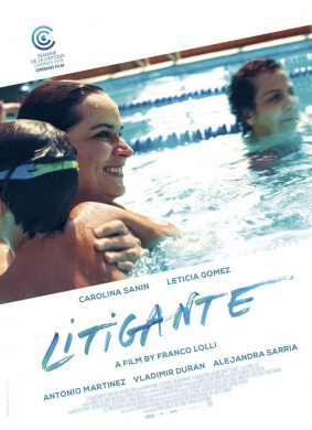 诉讼人Litigante