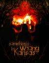 致命问题Something's Wrong in Kansas
